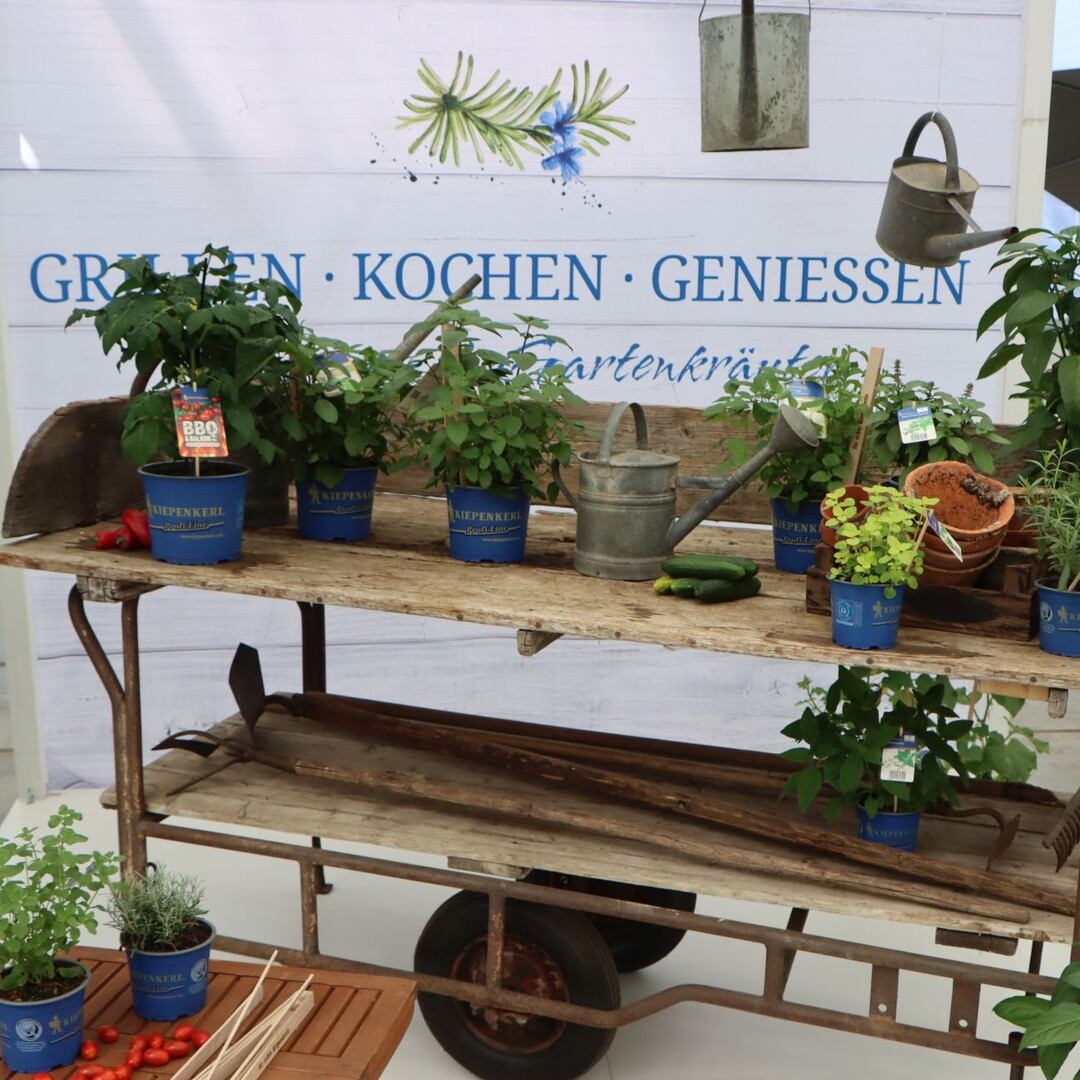 "Garden Herbs: Barbecue, Cook, Enjoy"