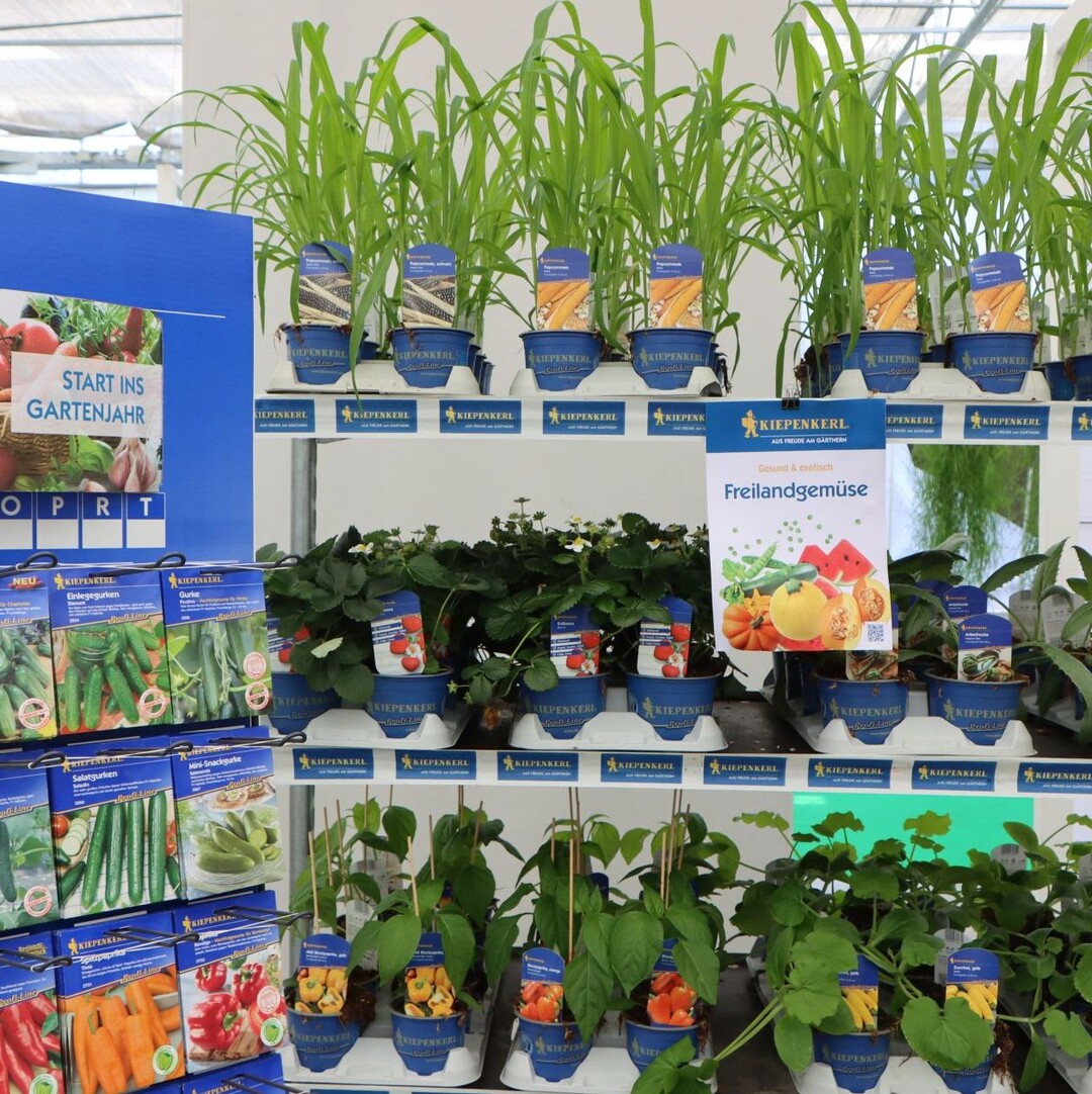 "Outdoor vegetables: start of the gardening year".