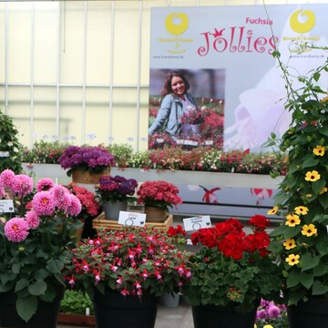 Brandkamp can offer a modern range that reflects the trend of the market.