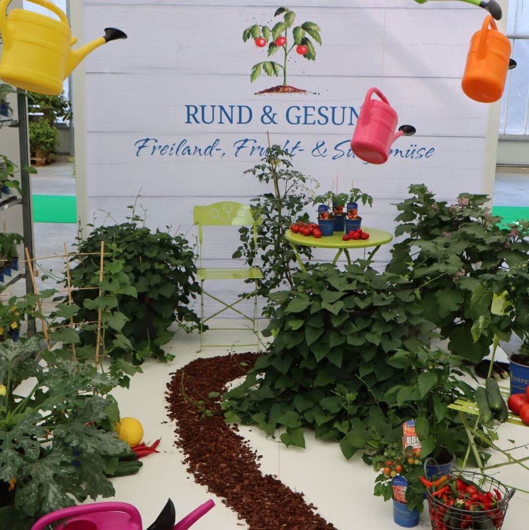 "Round & healthy: free-range, fruit and southern vegetables".