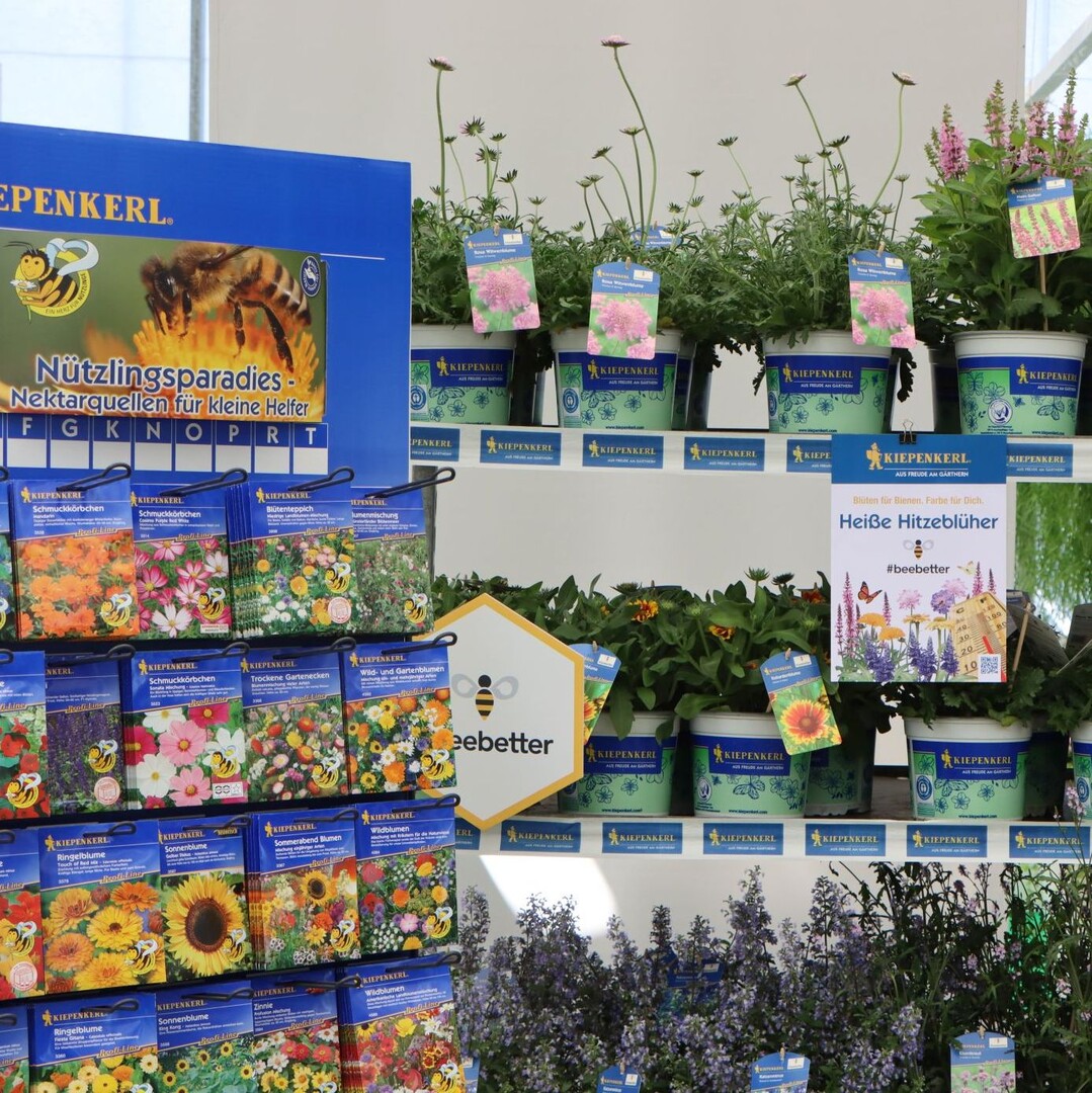 "Beneficial insect paradise - nectar sources for little helpers".