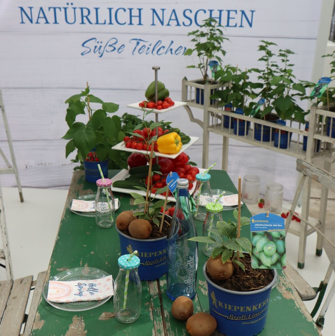 "Snacking Naturally: Sweet Bits".