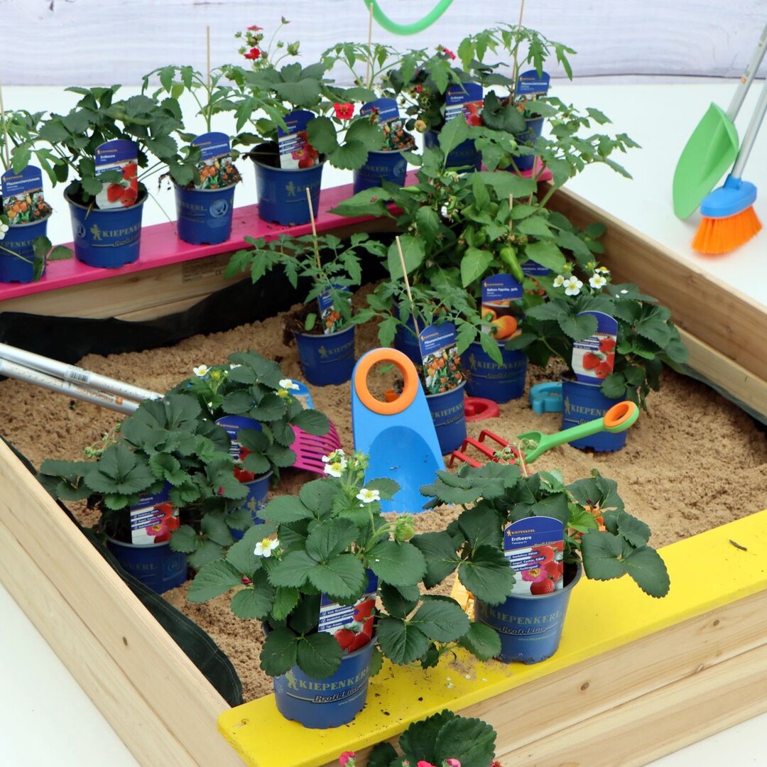"Children"s plants: child"s play and super tasty".
