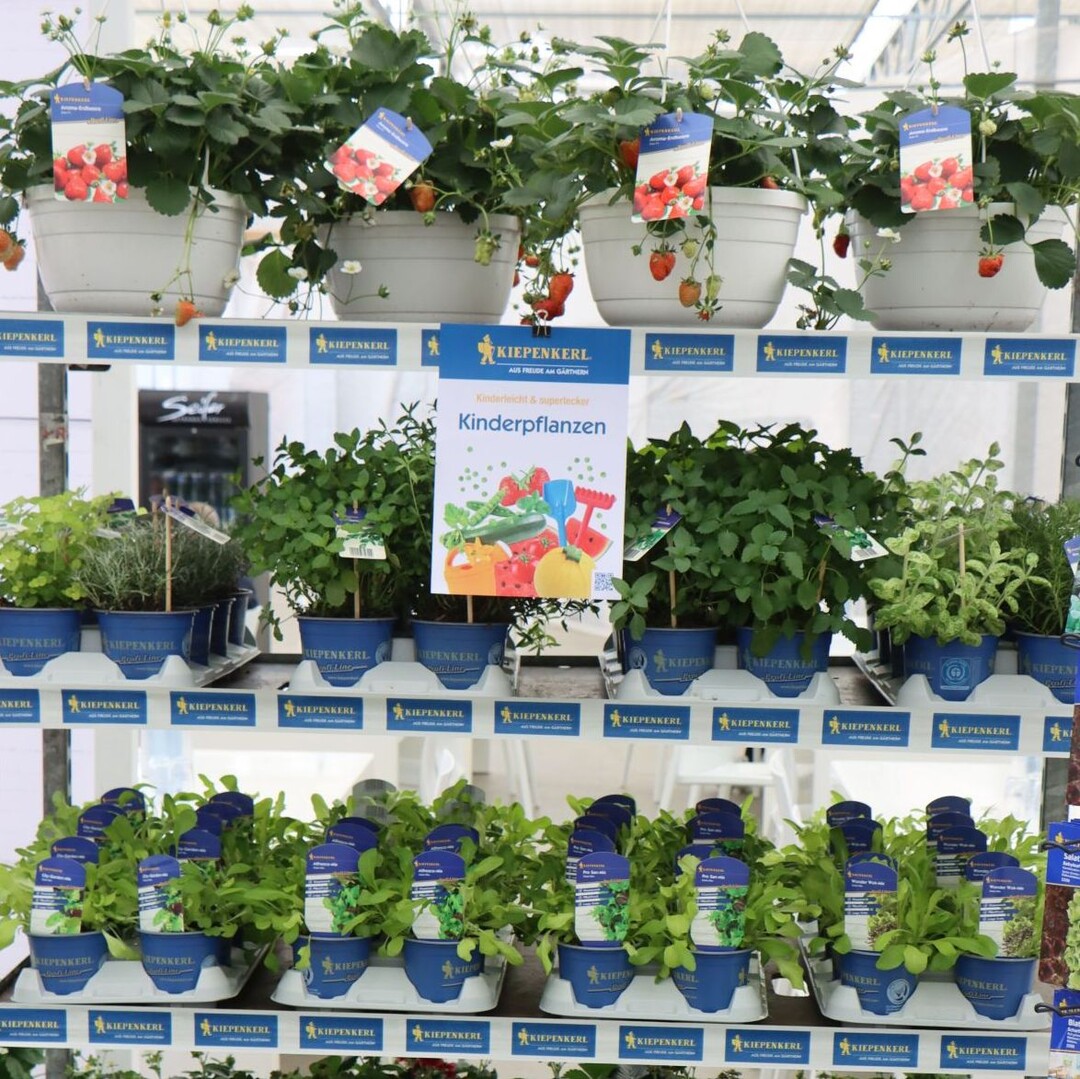 "Children"s plants: child"s play and super tasty".