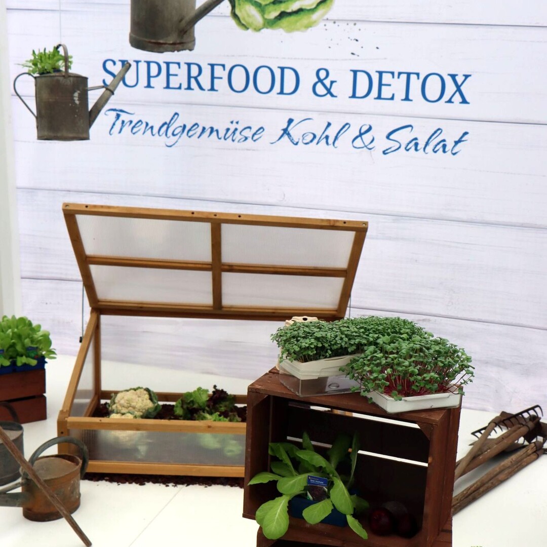 "Superfood & Detox: Trendy Vegetables Cabbage & Salad".