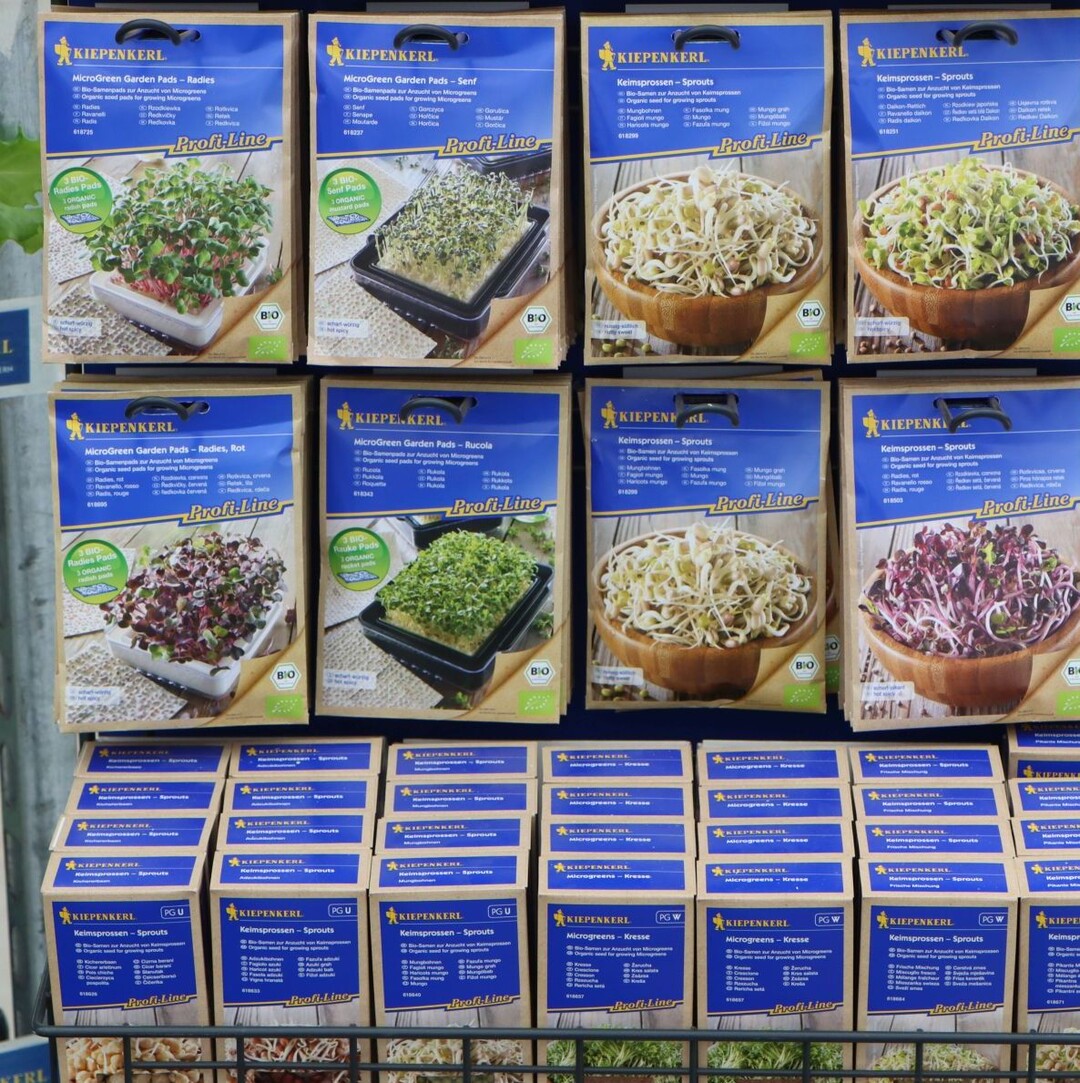 "Superfood & Detox: Trendy Vegetables Cabbage & Salad".