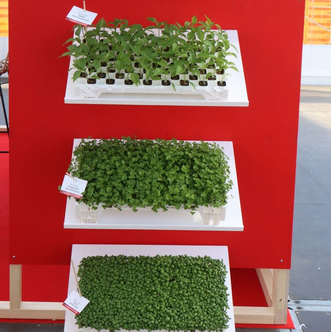Beekenkamp also showed in which delivery forms young plants can be ordered