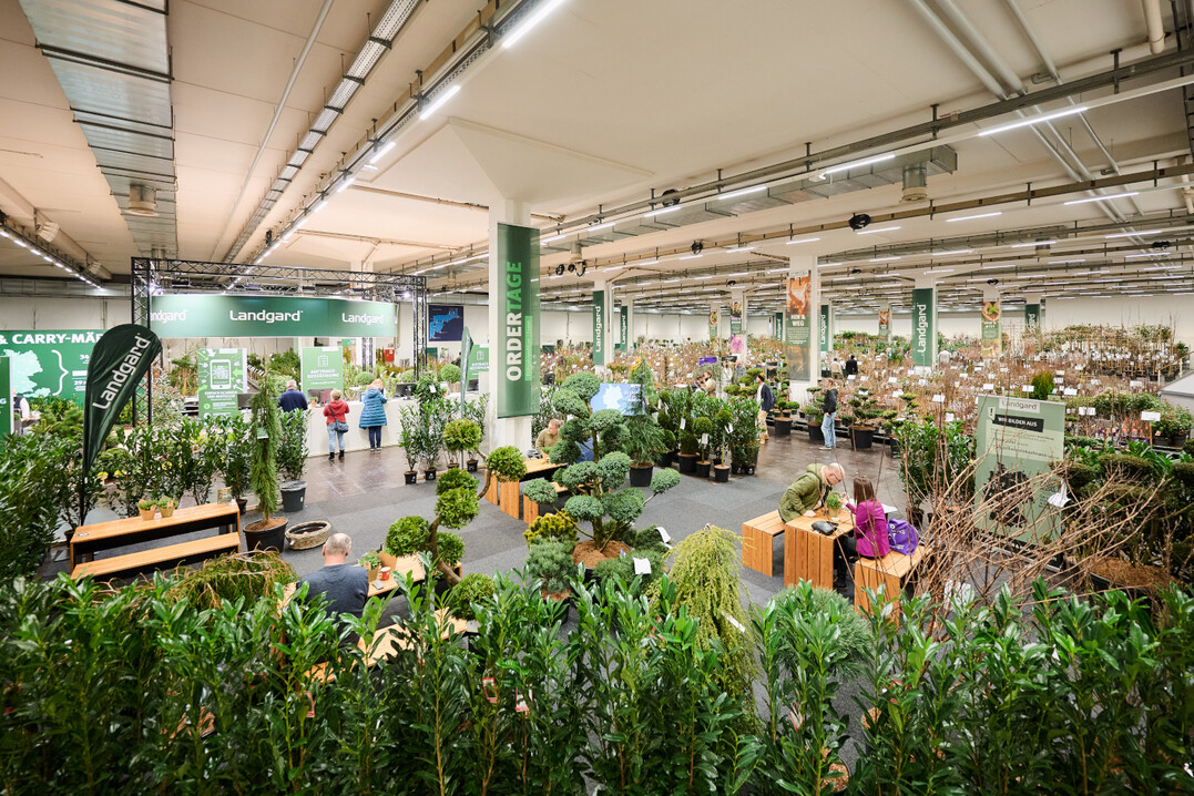 For the first time, the order fair will take place as a hybrid event both live at the international plant fair and digitally in the webshop ordertage.mylandgard.de.