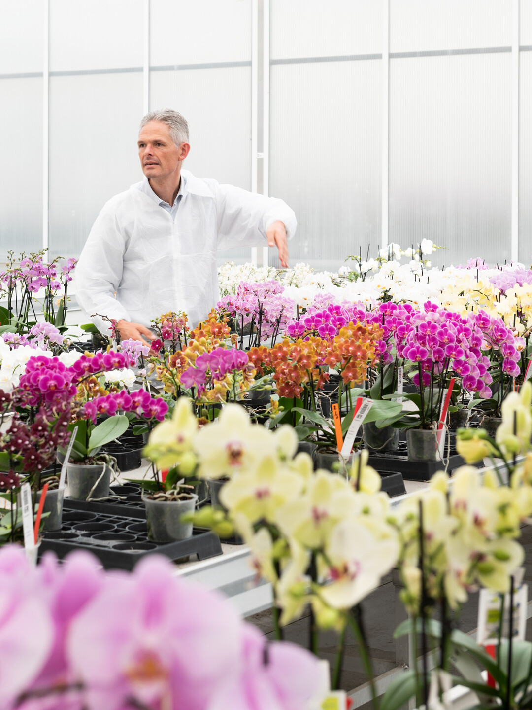     Ivy Lefevere is COO at Microflor