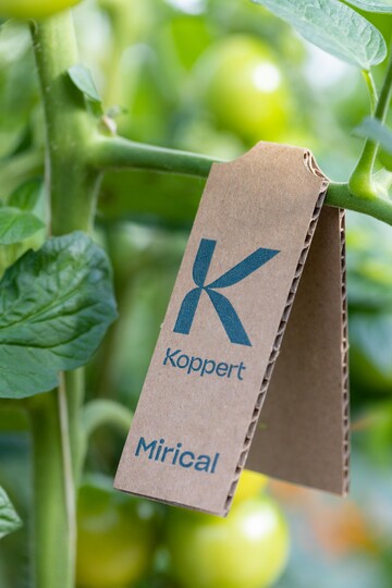Koppert"s proven and trusted biological solution for the control of whitefly  Mirical  is now available in revolutionary new packaging.