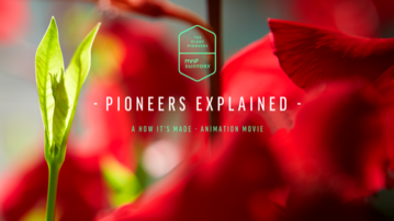 How much time passes between the moment of selection and the birth of a new brand? You will find all the answers in this fun and accessible animation.