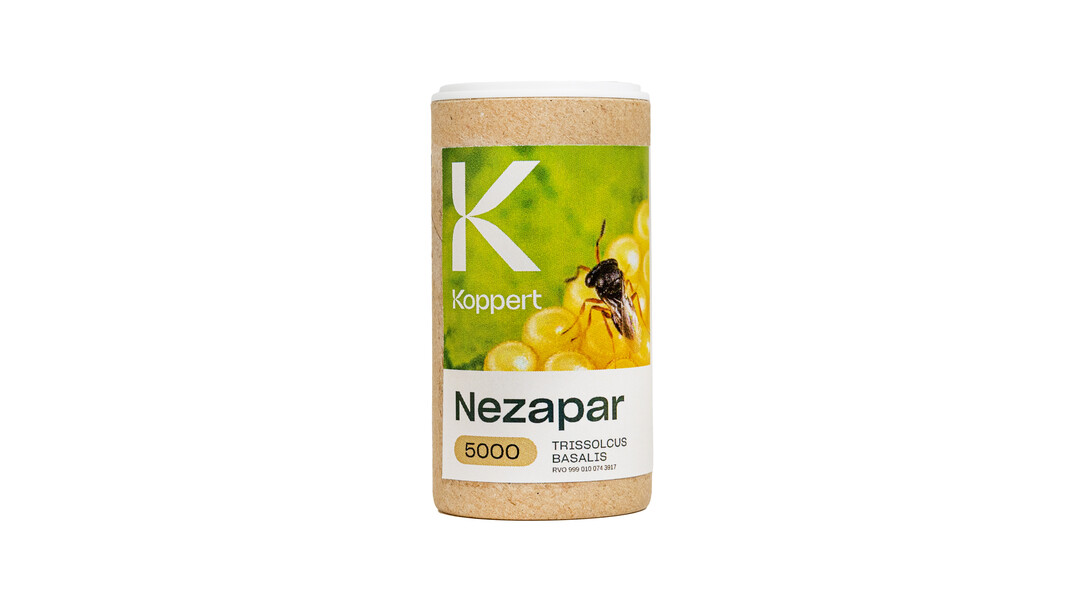 Nezapar Packshot