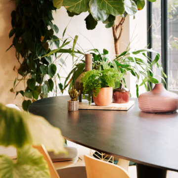 The goal from the campaign Thanks Plants is to activate consumers to buy plants more often  for themselves and for others.