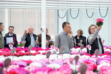 During the annual Cyclamen Open Days from 24th of October until 11th of November 2022, you are more than welcome for a visit at Schoneveld.