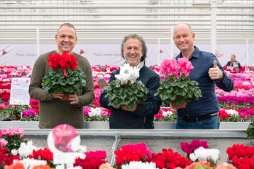 Visitors to the annual Cyclamen Open Days of Schoneveld Breeding were met by a huge splash of colours at the start of their tour.