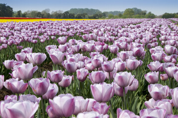  Syngenta Crop Protection Acquires Two Bioinsecticides