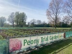 The Peony Trial Garden is open!
