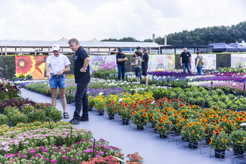 Visitors from 70 countries have already registered to attend the 20th anniversary edition of FlowerTrials in 2024.