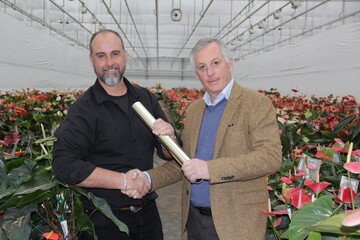 With the symbolic handover of the baton, Hugo Noordhoek Hegt (on the right), CEO Dmmen Orange, hands over Dmmen Orange"s Anthurium production to Paulo Reis, Director of Rijnplant.