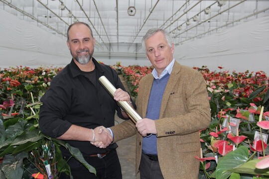 With the symbolic handover of the baton, Hugo Noordhoek Hegt (on the right), CEO Dmmen Orange, hands over Dmmen Orange"s Anthurium production to Paulo Reis, Director of Rijnplant.