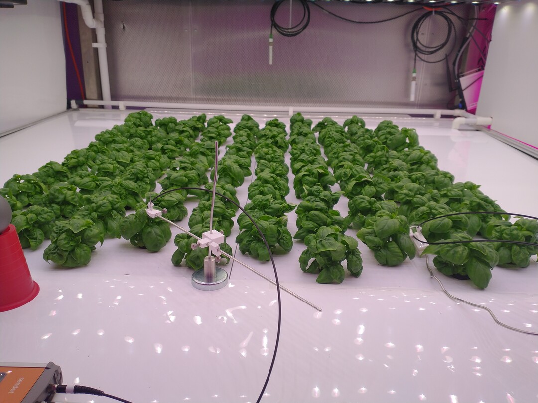For daylight-free cultivation, efficient lighting for the plants and people should be achieved with a dynamic LED installation.
