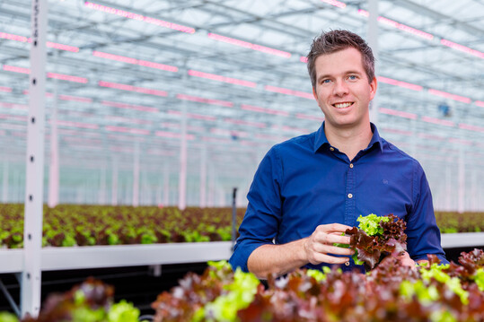 Erik Stappers is a plant specialist for vegetables at Signify. His focus is on high-wire crops and leafy greens. Erik is closely involved in projects in Western Europe and works together with the growers to create the optimal solution for their crop and situation.