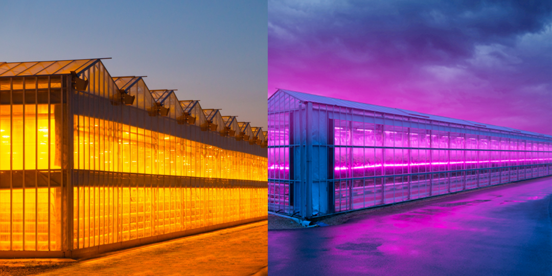 LED grow lighting