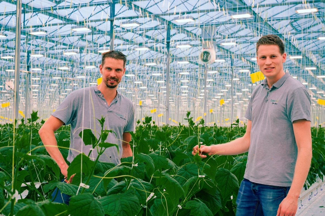 Owners and growers Kees Hendriks (left) and Stefan Wubben have high expectations of the LED installation.