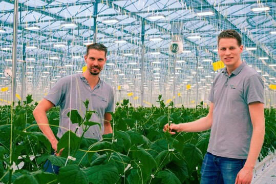 Owners and growers Kees Hendriks (left) and Stefan Wubben have high expectations of the LED installation.