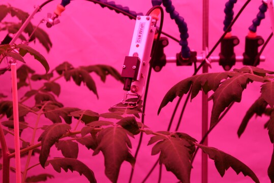 "Dynamic lighting will play a key role in energy management for greenhouse horticulture companies"
