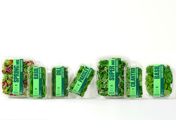 Square Roots grows a wide variety of fresh greens, including herbs like Basil, Dill, Parsley, and Cilantro; microgreens; and salad mixes.