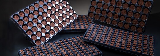 With the acquisition of Quick Plug, Profile Products expands its robust horticulture product line and establishes the companys foothold in the controlled environment agriculture space.