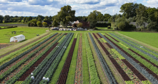 CropXR will help to make agricultural production less vulnerable to climate change and less dependent on artificial fertilizers and chemical pesticides, thereby also creating growth opportunities for relevant economic sectors in the Netherlands.