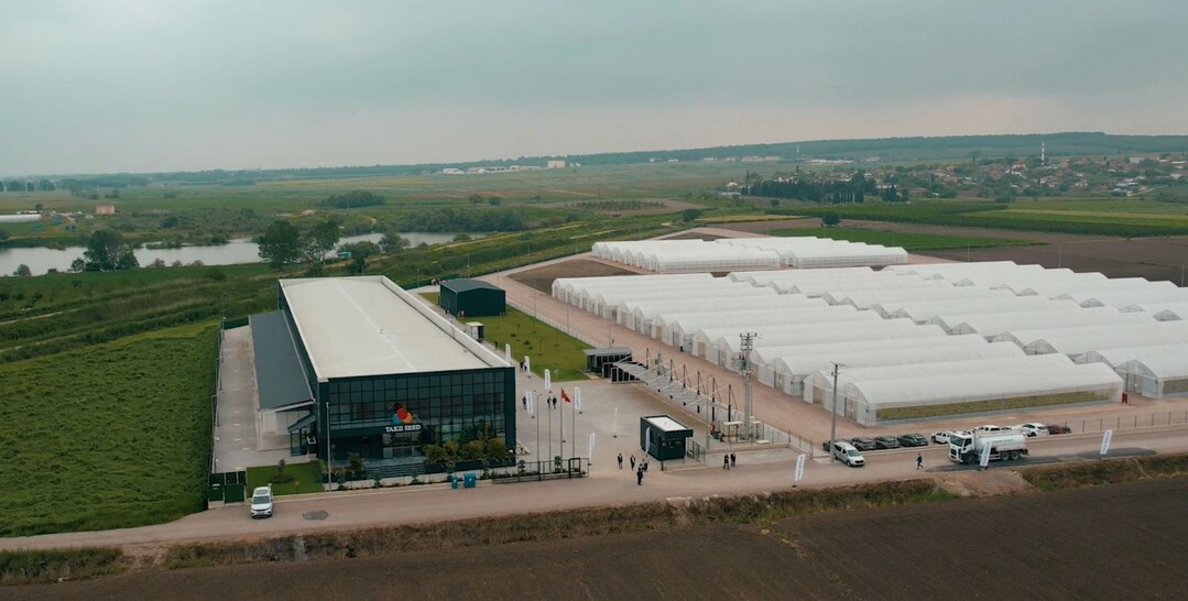 Takii seed production location in Karacabey.