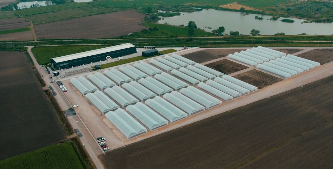 Takii seed production location in Karacabey.