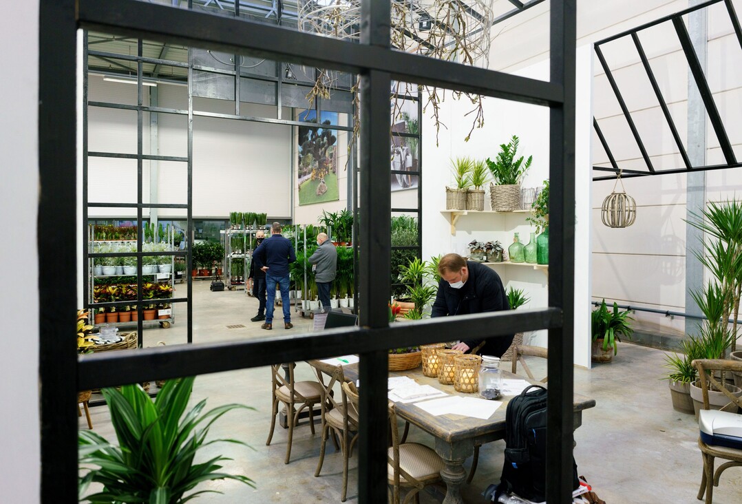 Plantion in Ede/The Netherlands: Opening of De Kas on January 19, 2022
