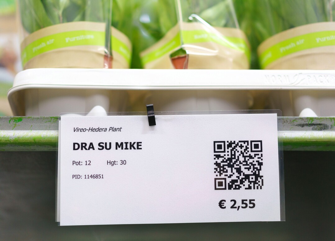 Plantion in Ede/The Netherlands: Opening of De Kas on January 19, 2022