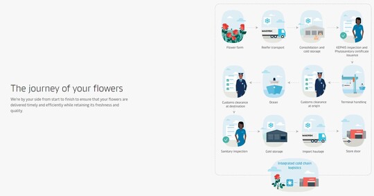 "The journey of your flowers":
Mrsk Line offers complete handling of the transport of cut flowers also by sea.